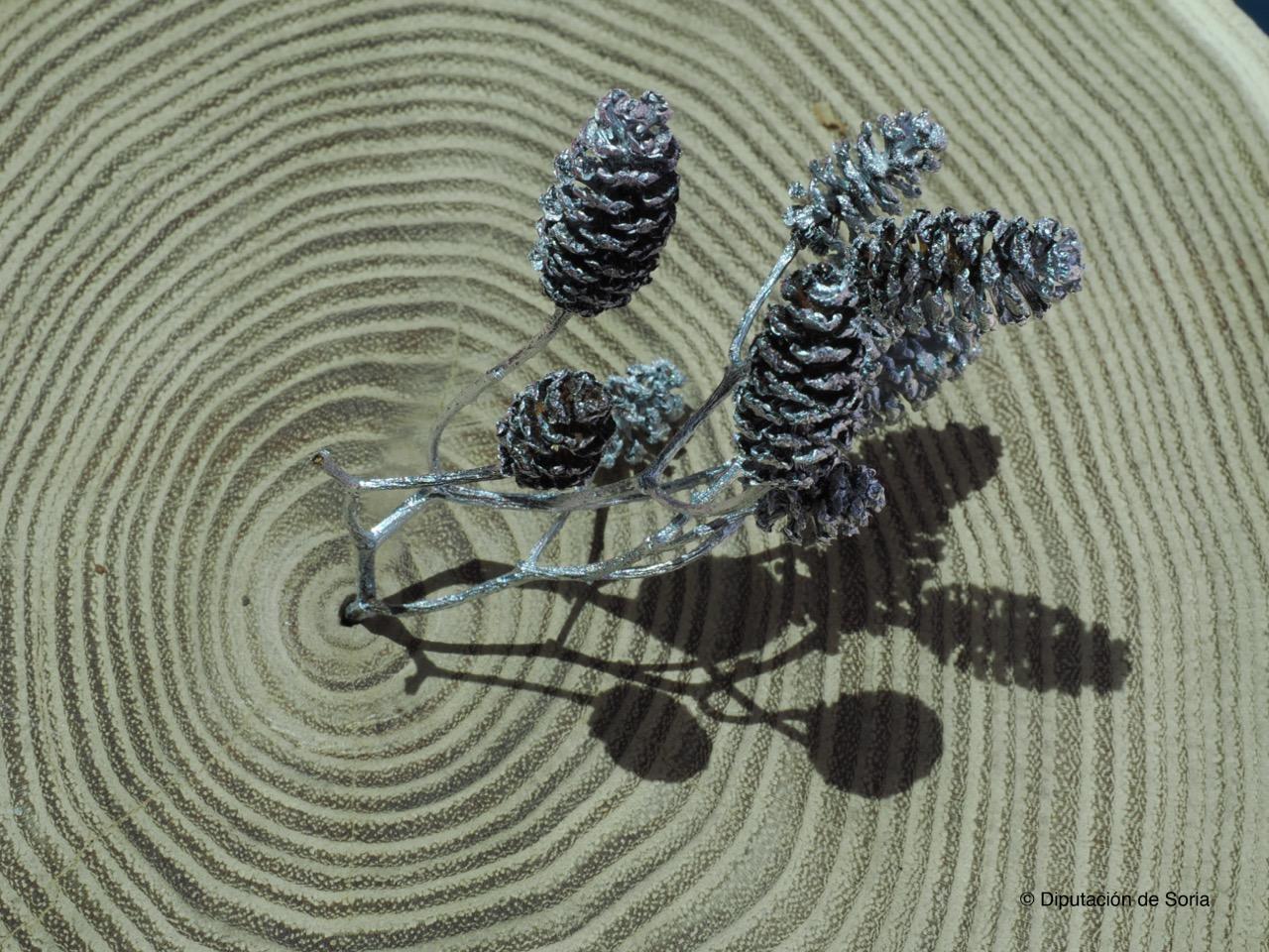 Imagen del premio